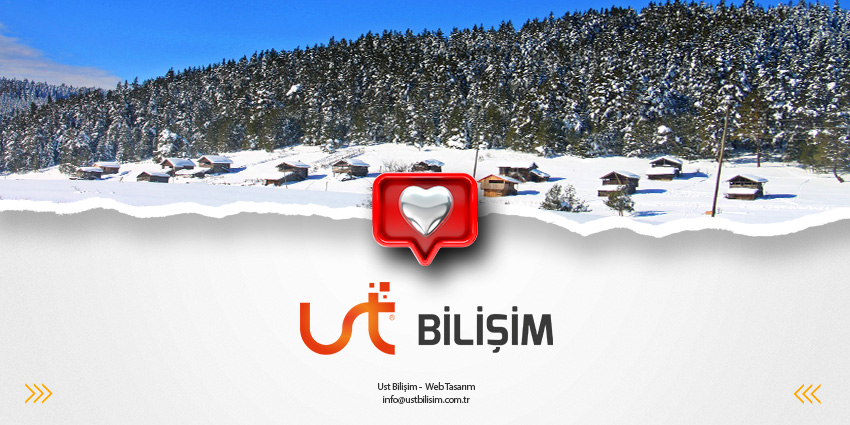 Araç Web Tasarım