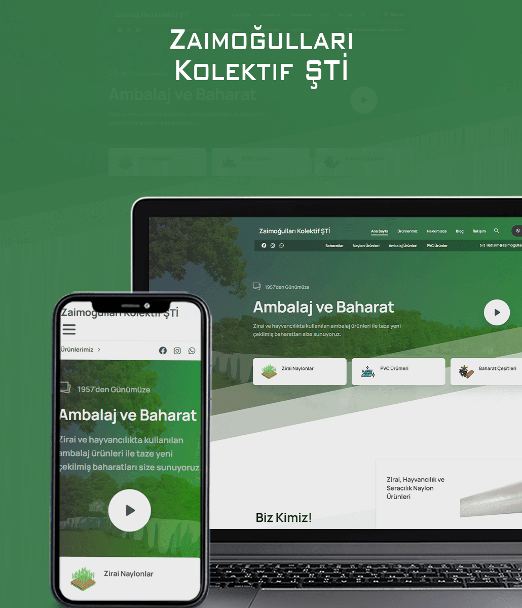 Zaimoğulları Kolektif — Web Design